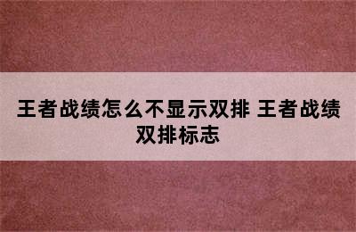 王者战绩怎么不显示双排 王者战绩双排标志